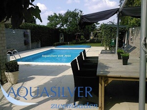 zwembad rechthoek + romeinse trap Belgie